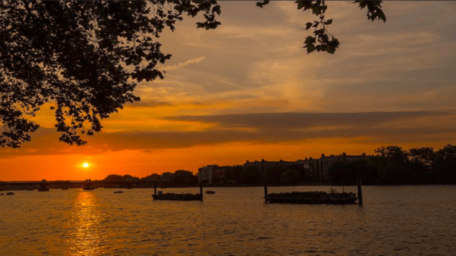 Wandsworth SW18 zone 2, 2 Bedrooms Bedrooms, ,Apartment,For Sale,Wandsworth SW18 zone 2,1037